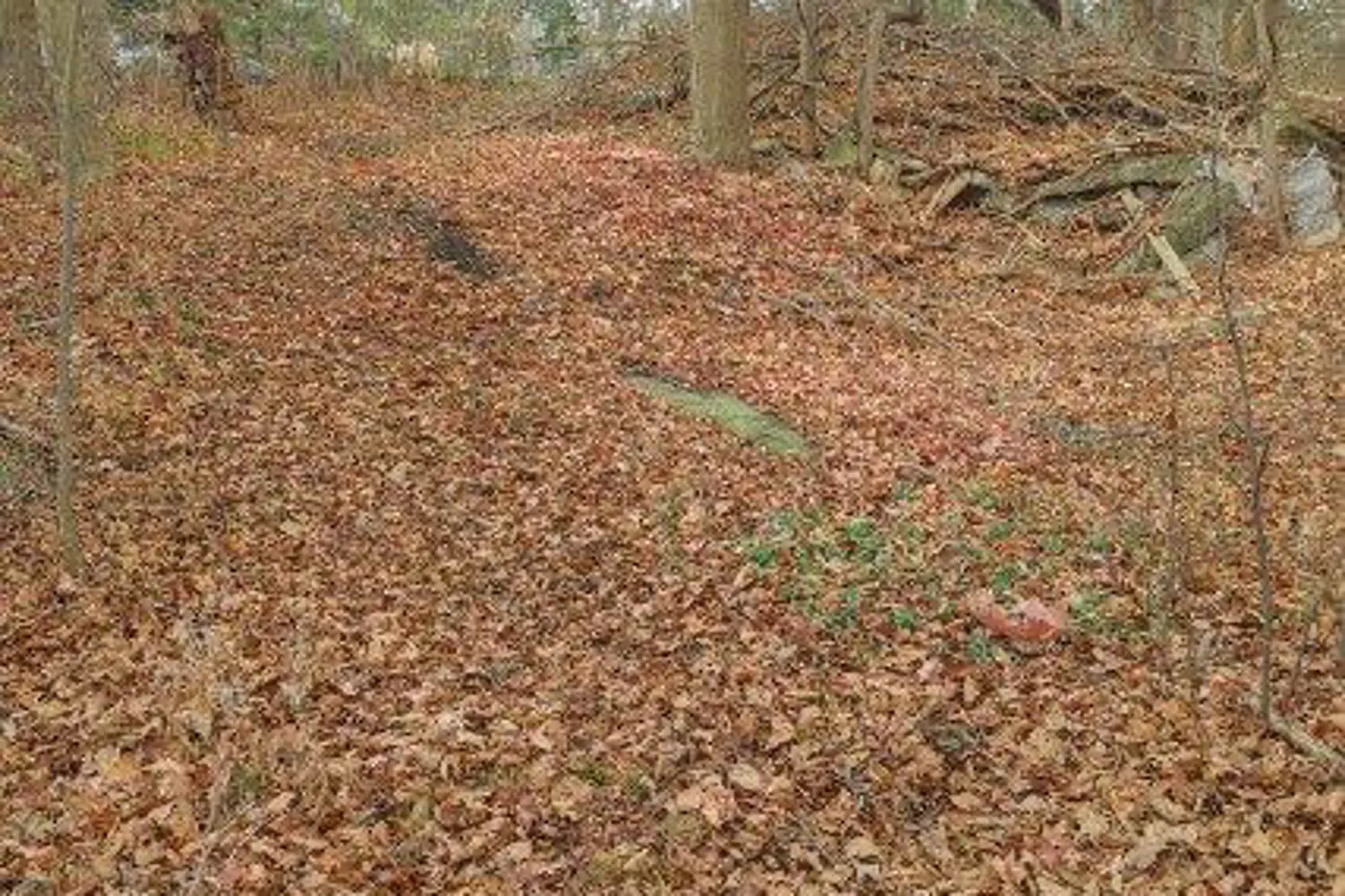 Additional image 3 of 46420 Methodist St. Street