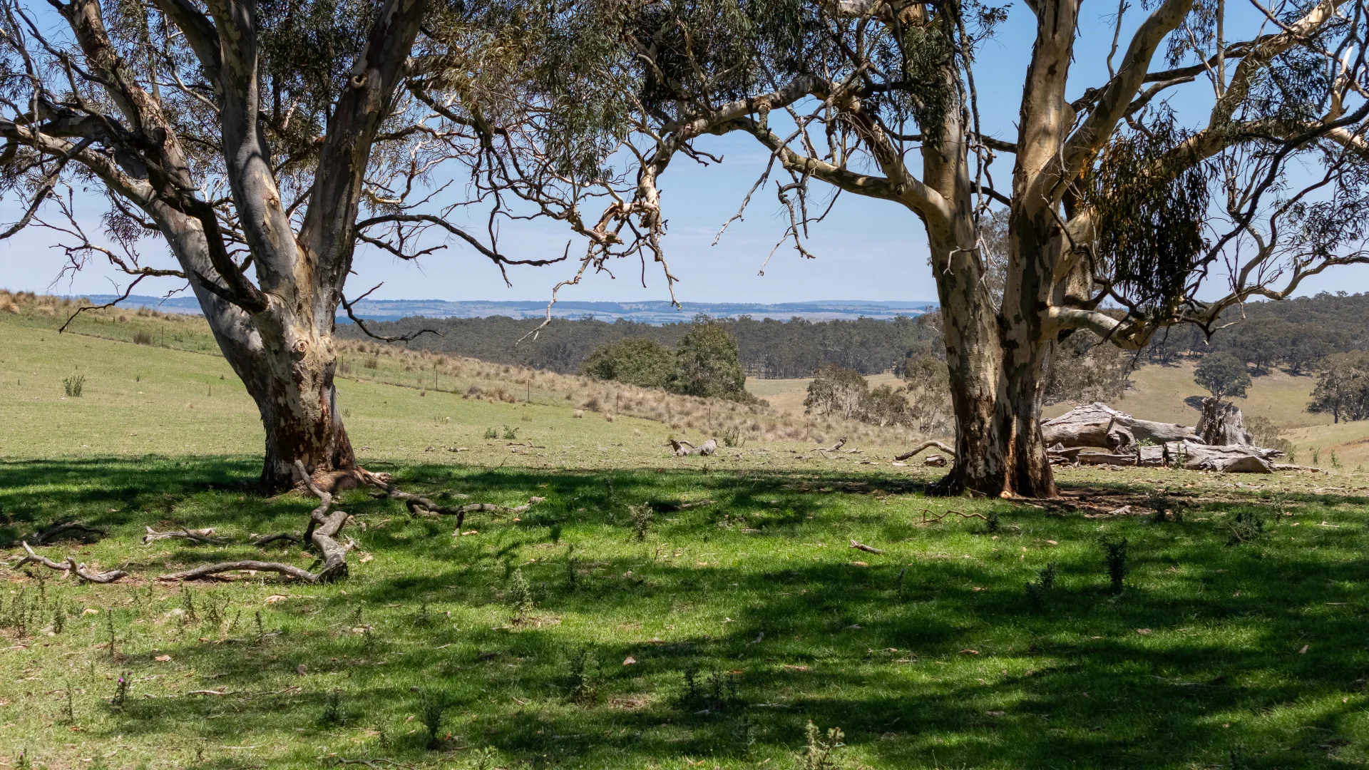 Additional image 4 of 1169 Golspie Road, Taralga NSW 2580