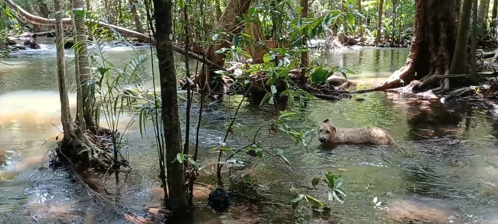 Additional image 12 of 685 Miles Road, Eva Valley NT 0822