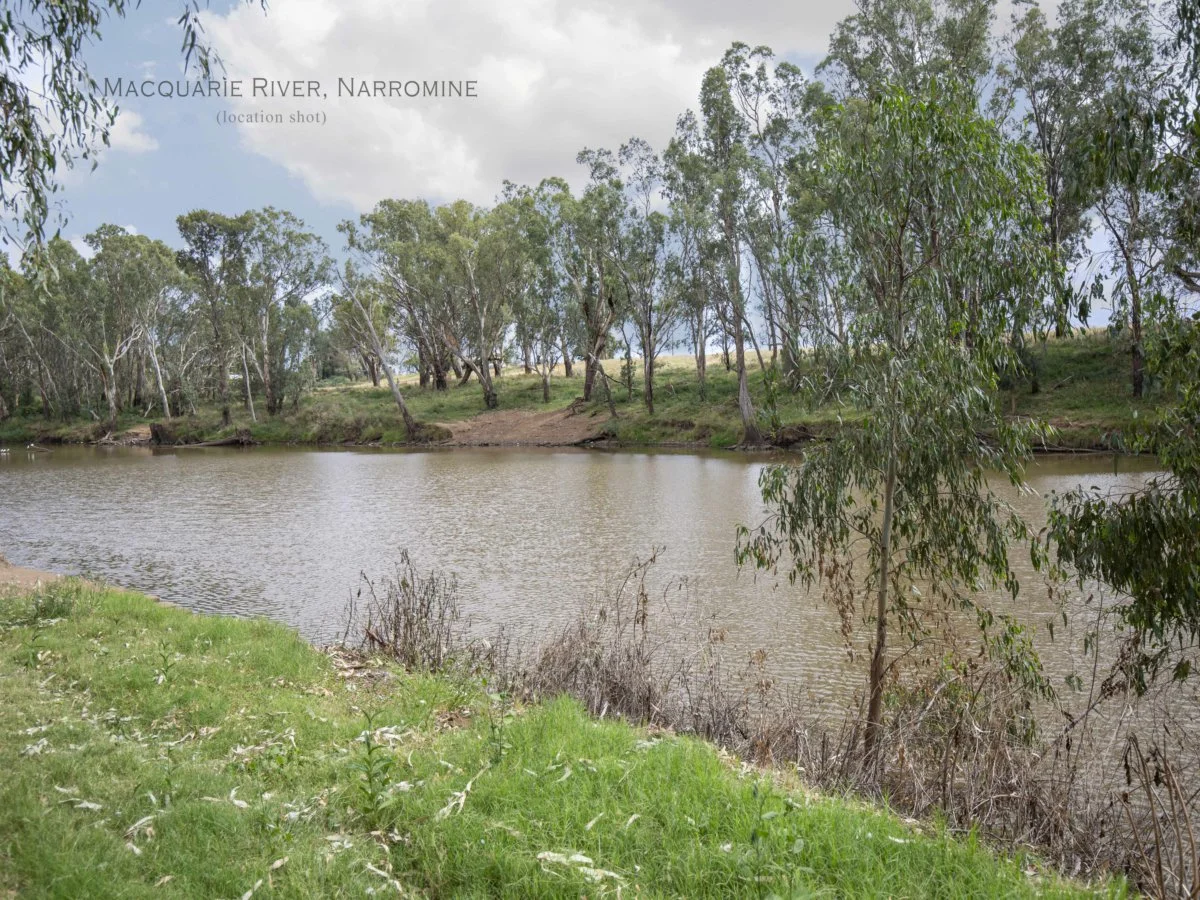 Additional image 4 of 6 128 Dappo Road, Narromine NSW 2821