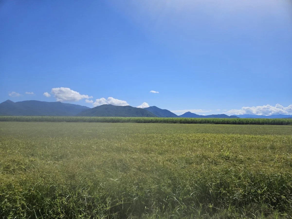 Additional image 5 of 2 Hawkins Creek Road, Hawkins Creek QLD 4850