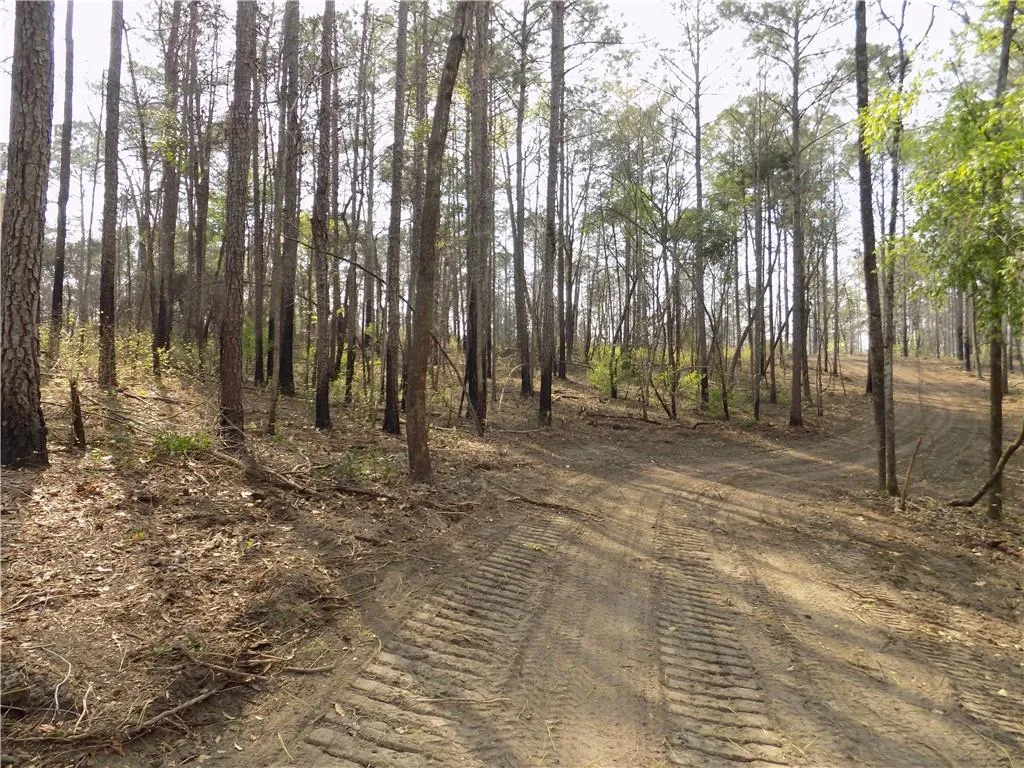 Additional image 14 of Lot 2 Macon County Road 24, Auburn, AL 36830