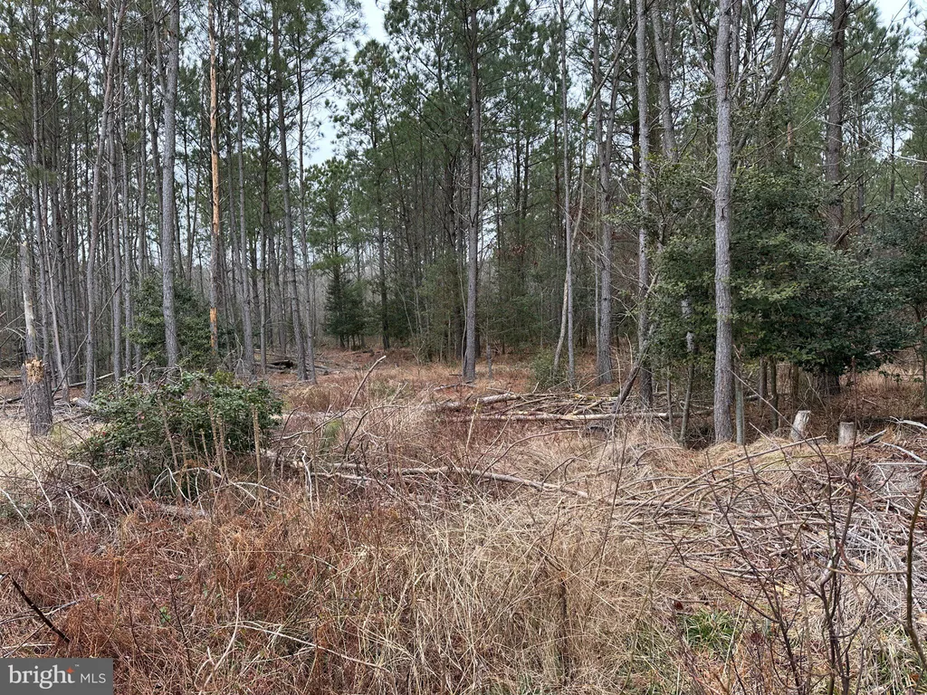 Additional image 10 of Owens Road, Greenwood, DE 19950