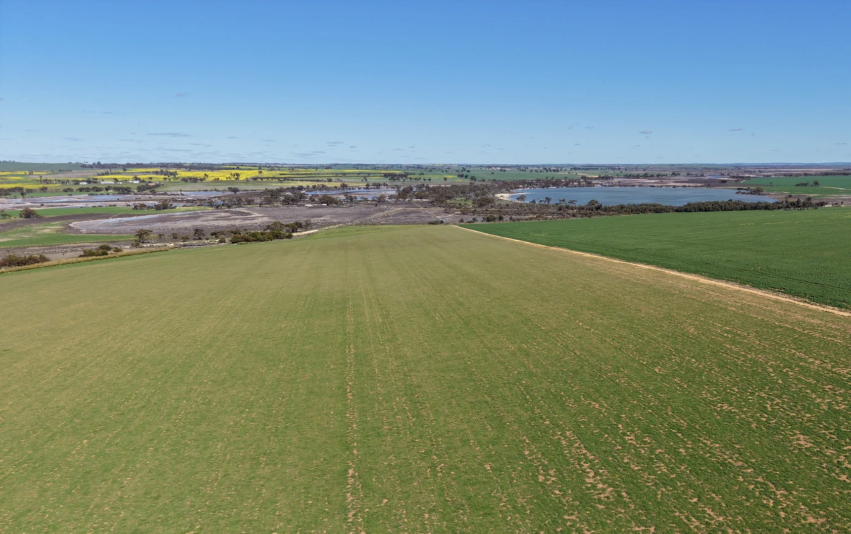 Additional image 18 of Quairading South Road, Dangin WA 6383