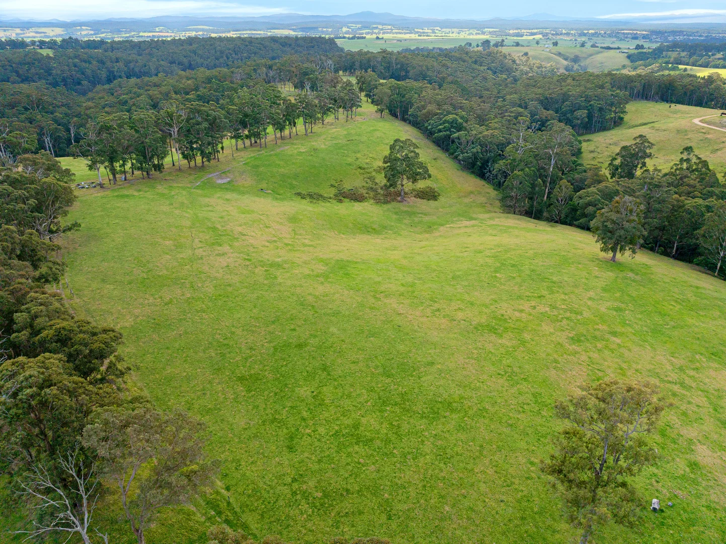 Additional image 19 of 164 Joiners Road, Newmerella VIC 3886