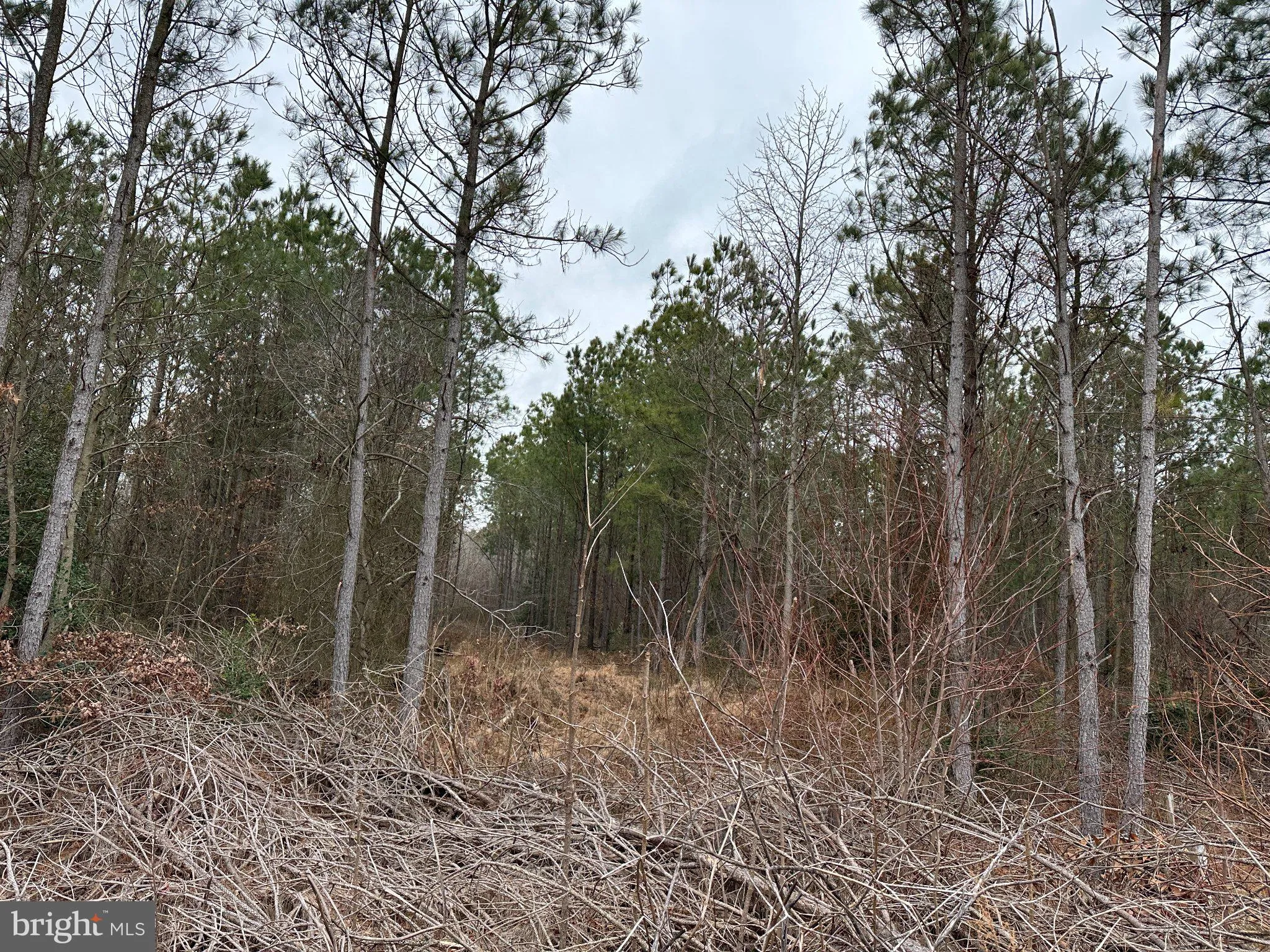 Additional image 18 of Owens Road, Greenwood, DE 19950