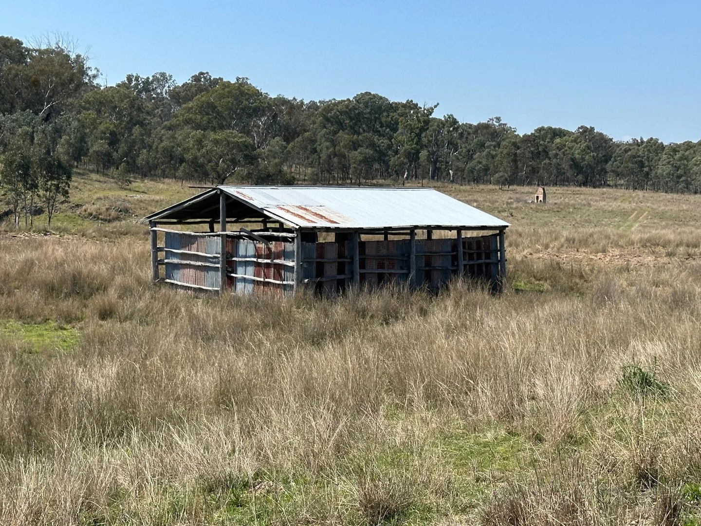 Additional image 23 of "Coolendoon" 810 The Pocket Road, Bukkulla NSW 2360