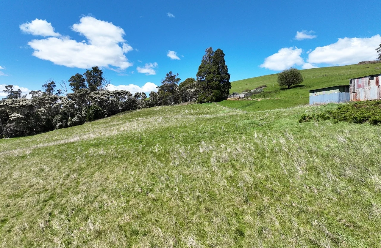 Additional image 17 of Lot 2 Storys Road, Lebrina TAS 7254