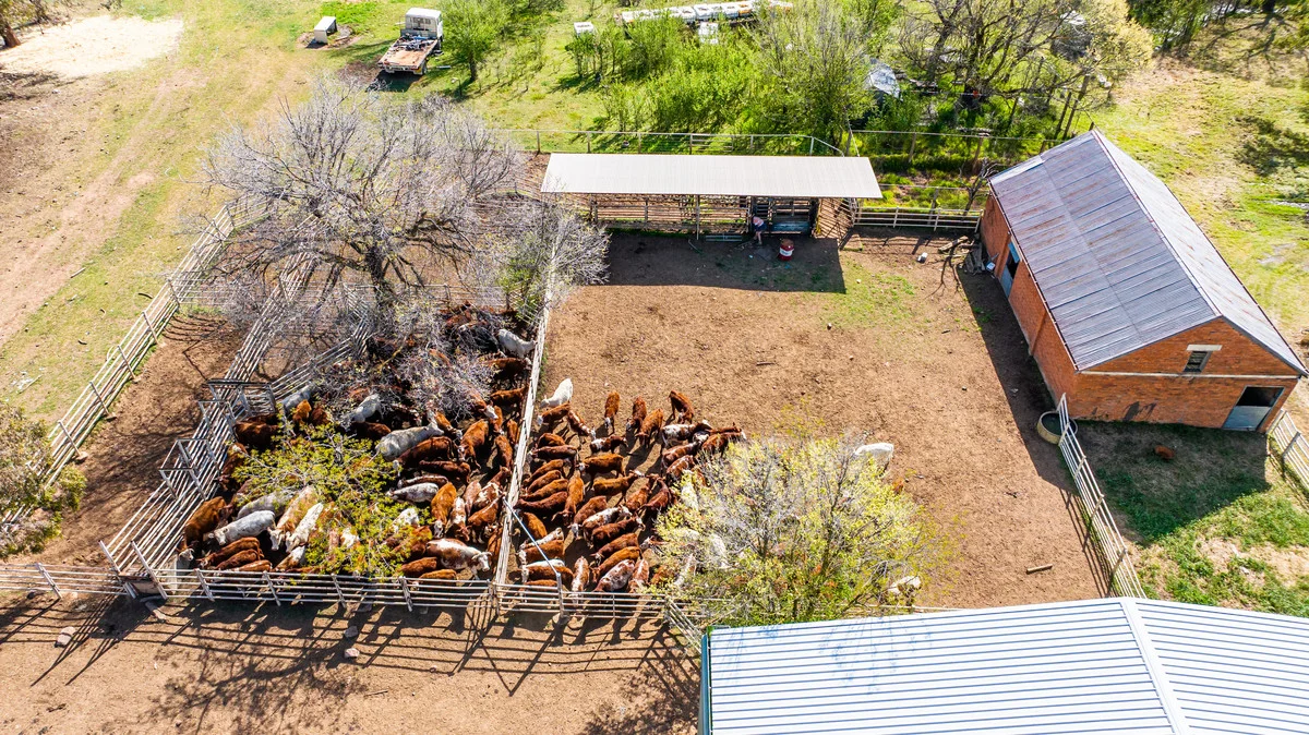 Additional image 23 of 1791 Olympic Highway, Culcairn NSW 2660