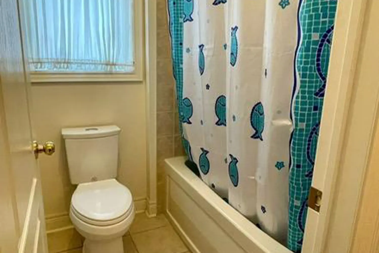 Additional image 13 of 69 Ken Laushway Avenue