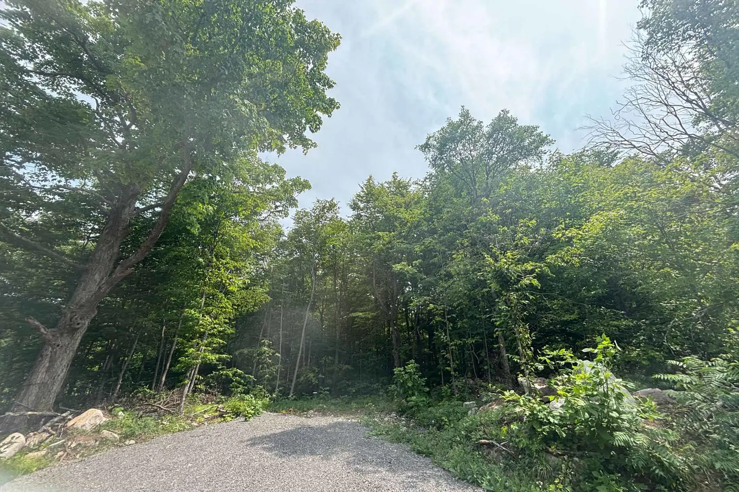 Additional image 2 of 554 Pigden Road Severed B