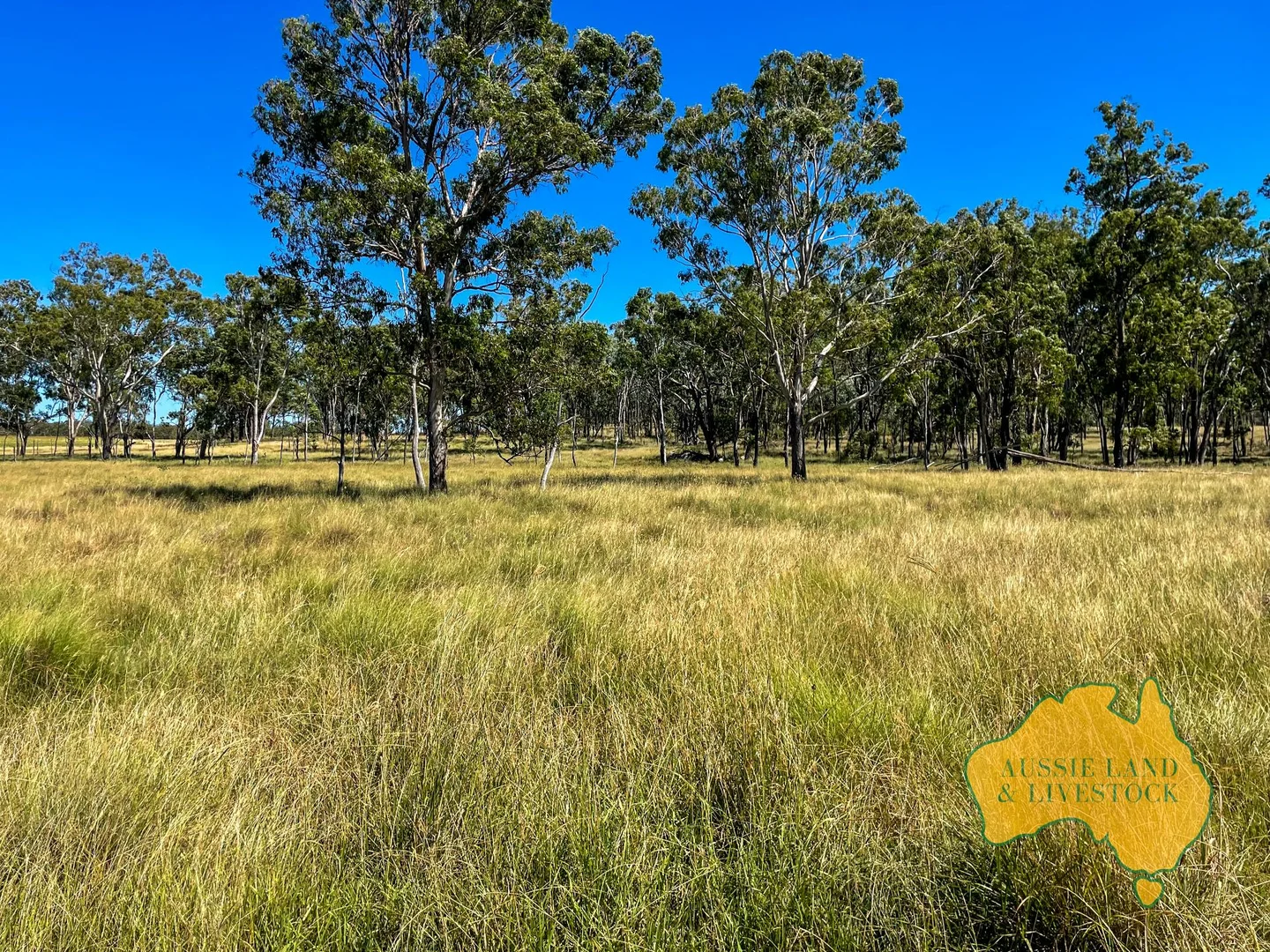 Additional image 65 of 629 Stuart Valley Drive, Haly Creek QLD 4610