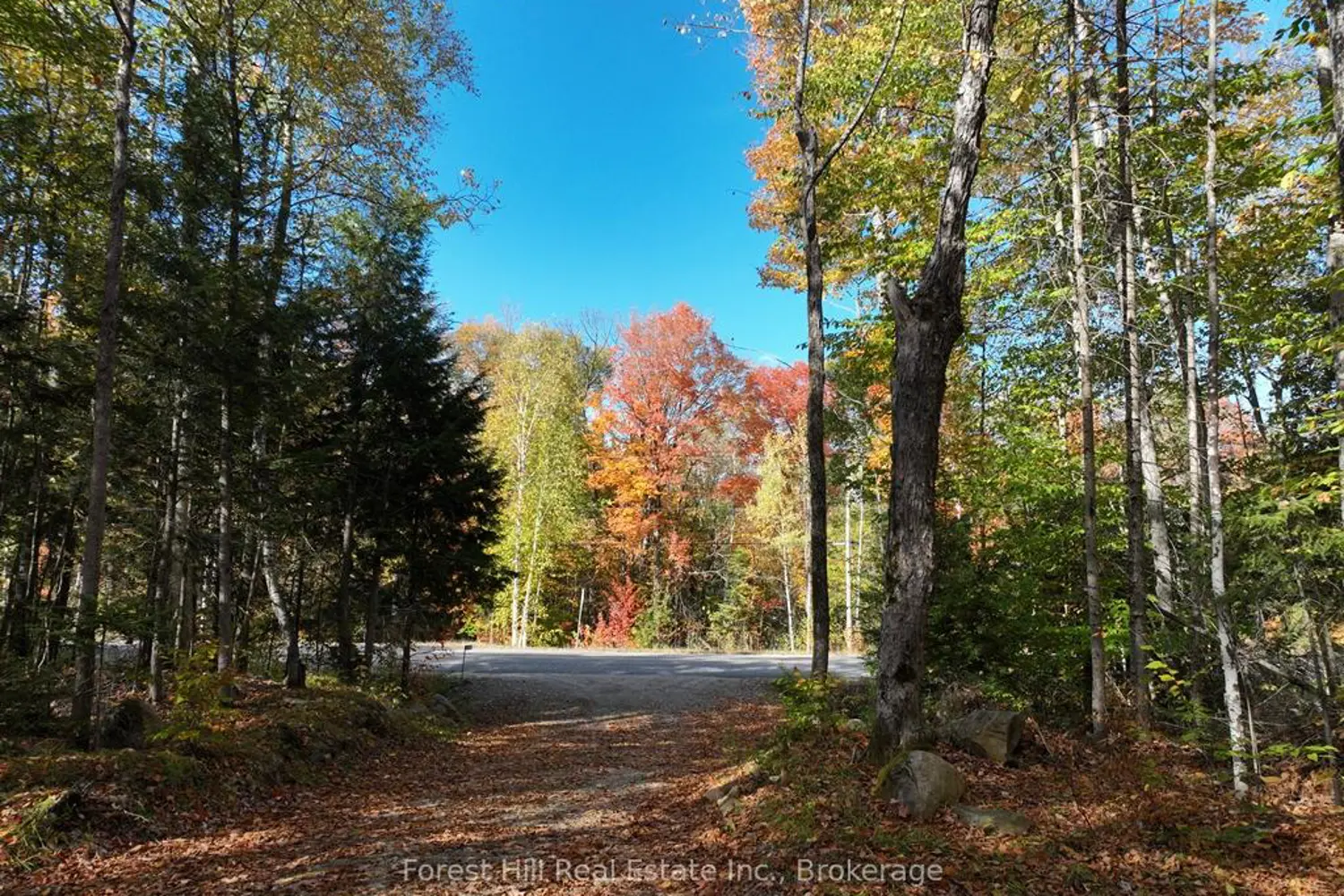 Additional image 13 of 4488 Kawagama Lake Road