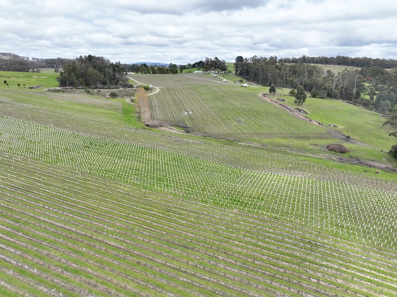 Additional image 16 of 103 Glendale Road, Sidmouth TAS 7270