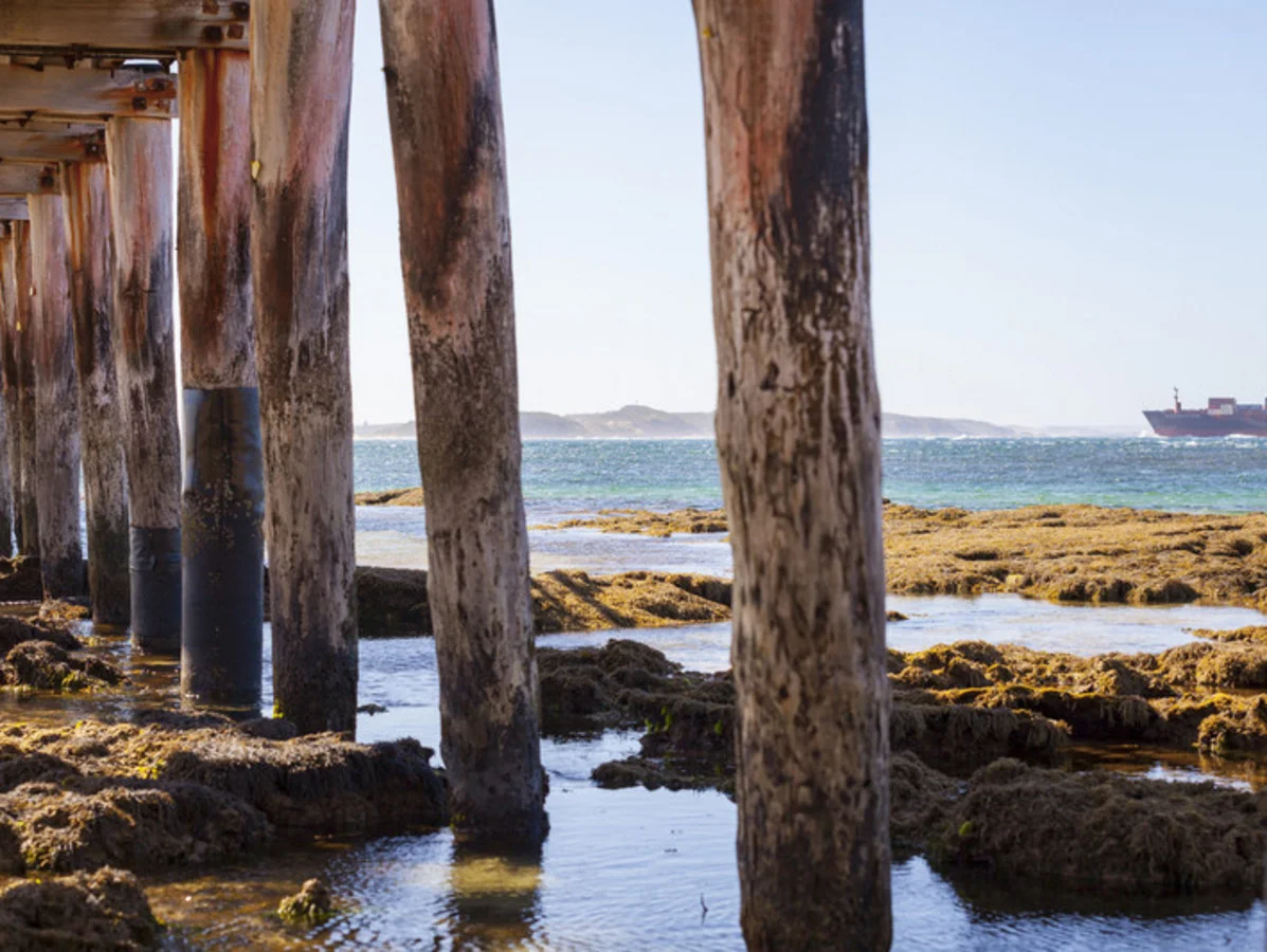 Additional image 8 of 45 Phelan Street, Point Lonsdale VIC 3225