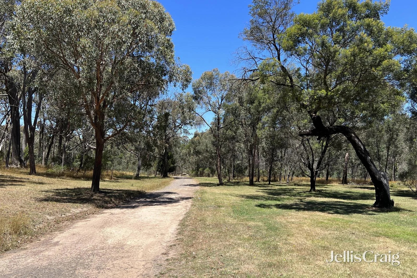Additional image 3 of 64 Buntins Road, Elphinstone VIC 3448