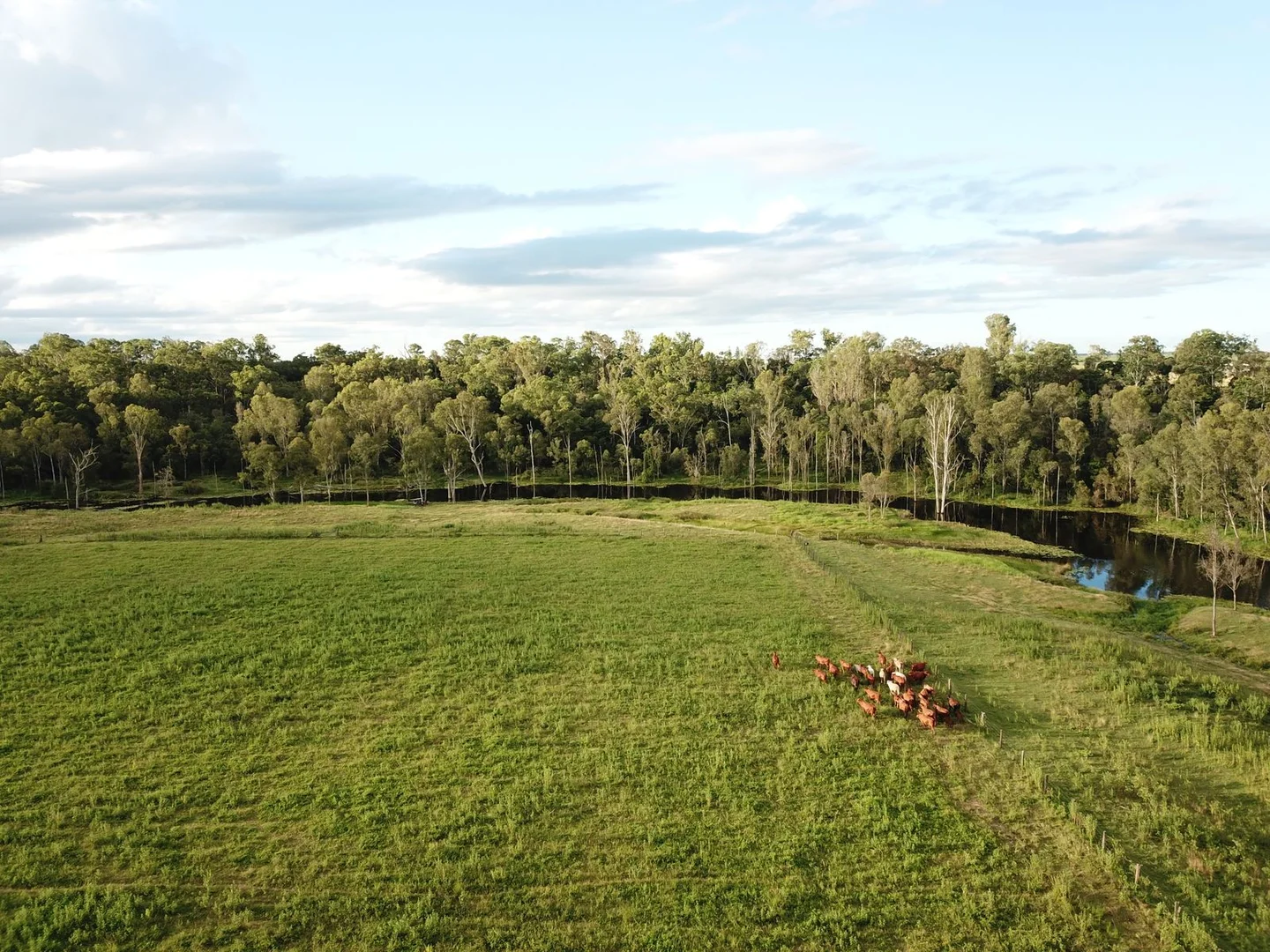 Additional image 9 of 84 Foleys Road, North Gregory QLD 4660