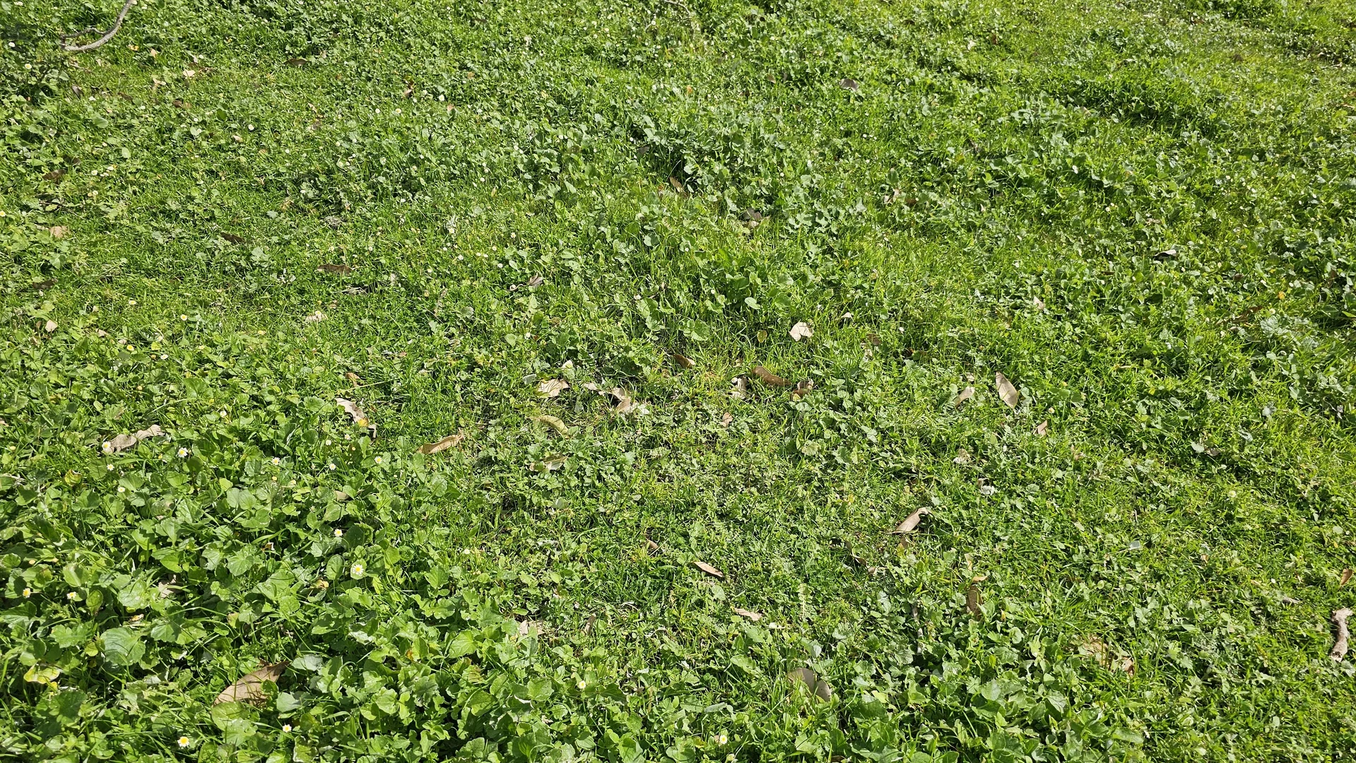 Additional image 10 of Lot 61 Caves Road, Burnside WA 6285