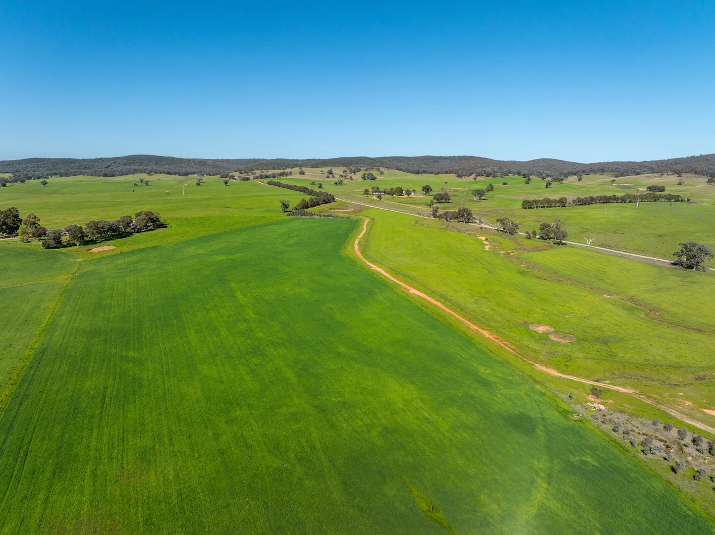 Additional image 6 of 25 Wrigleys Road, Big Springs NSW 2650