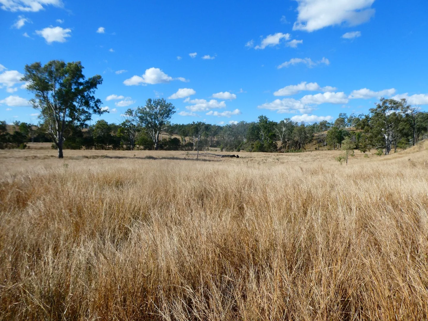 Additional image 26 of NRN BEERON ROAD, Beeron QLD 4626
