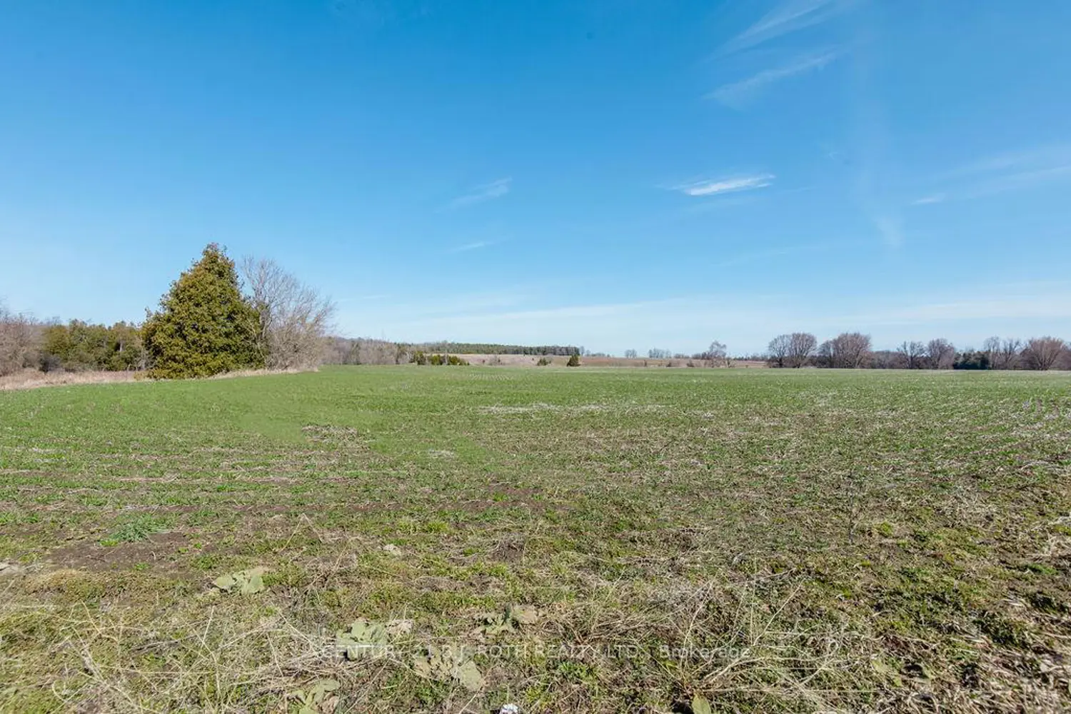 Additional image 16 of 7468 25Th Side Road