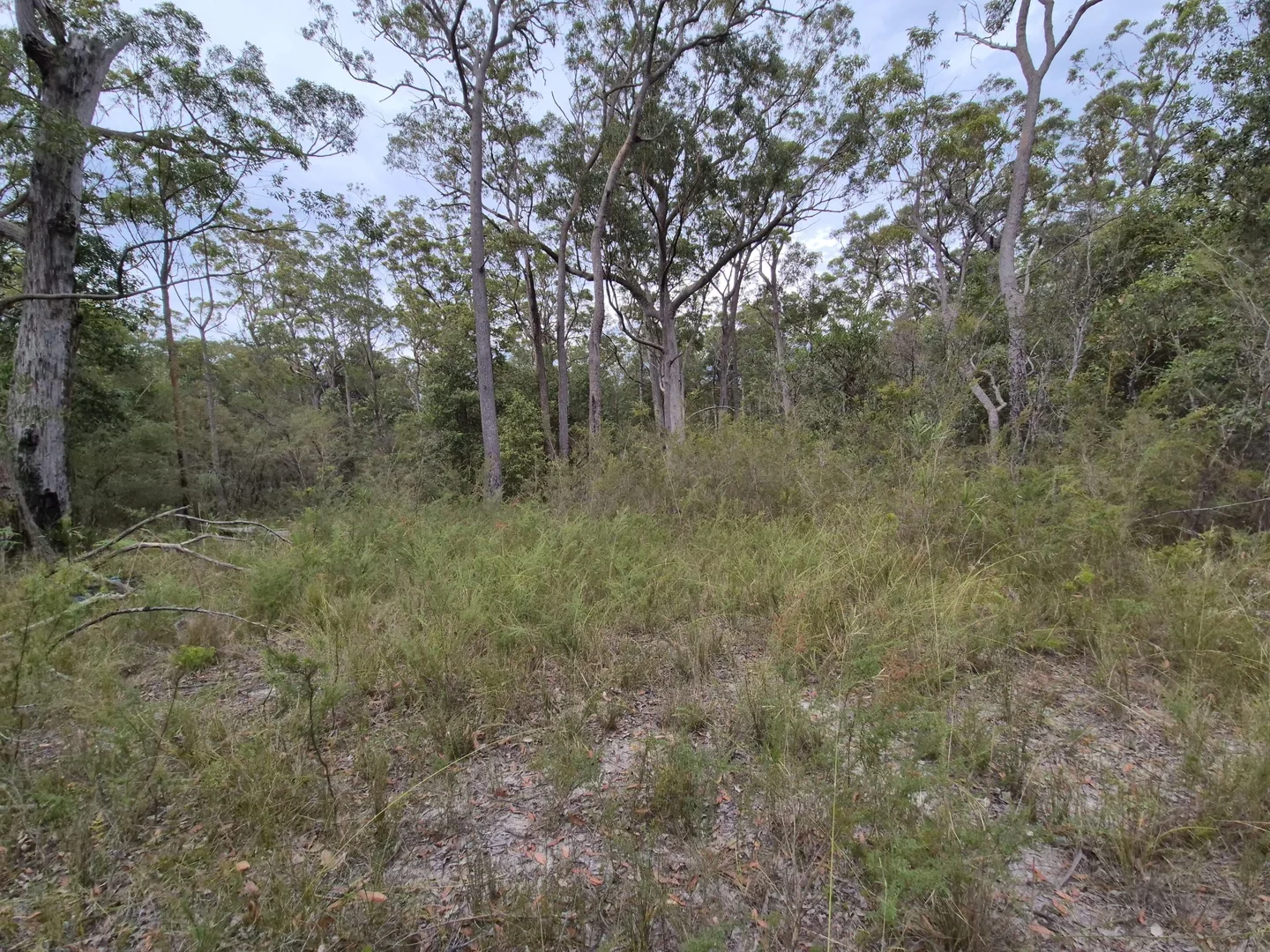 Additional image 6 of 555 Atherton Street, Basin View NSW 2540