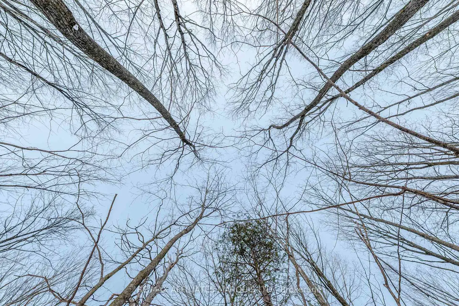 Additional image 13 of Lot Concession 10 Road