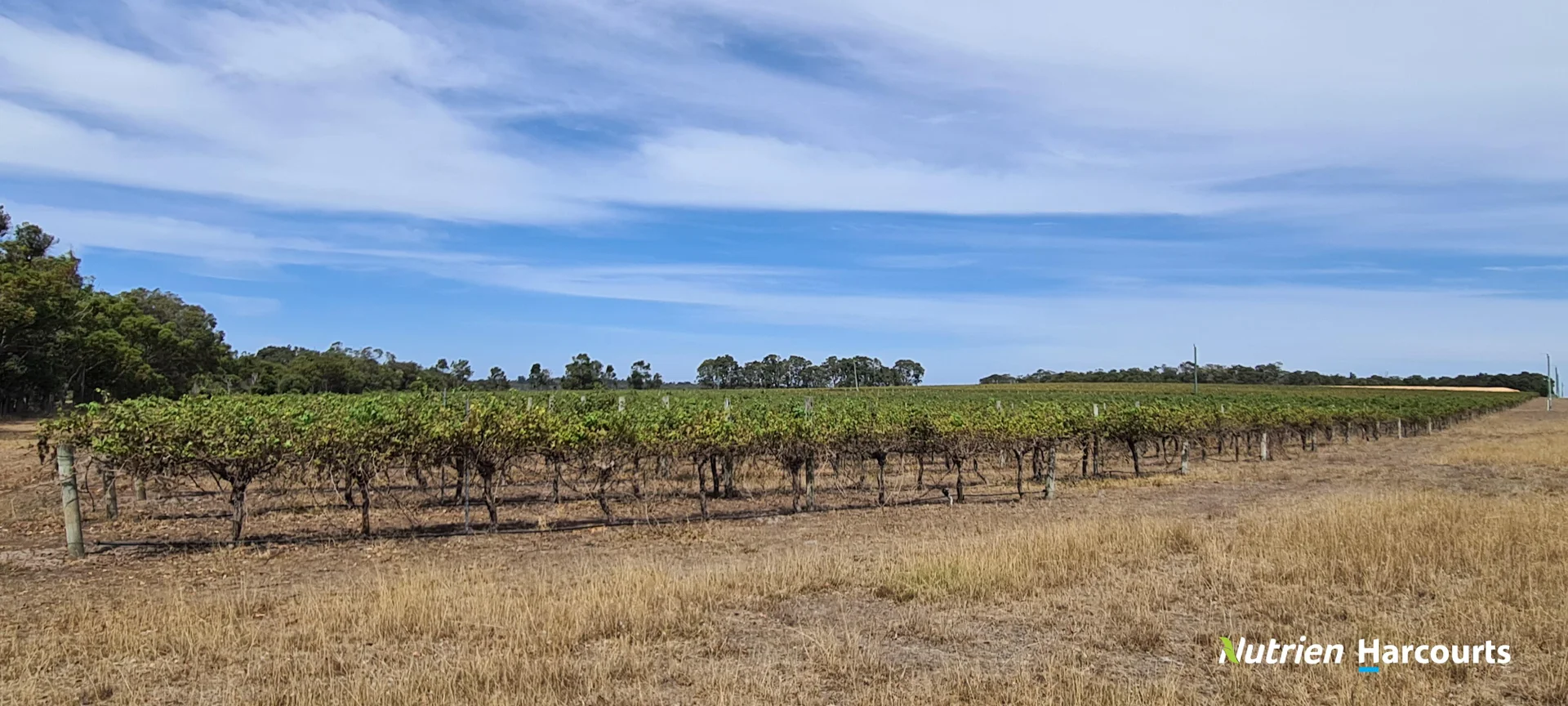 Additional image 4 of 267 Spencer Road, Narrikup WA 6326