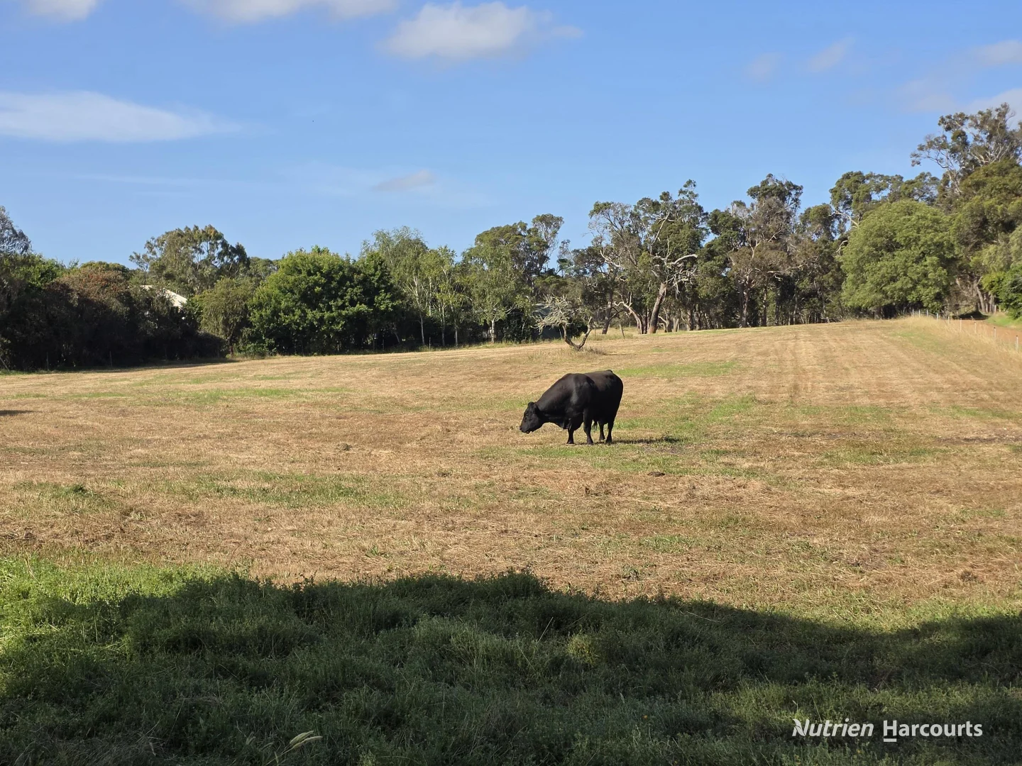 Additional image 26 of 1459 Millbrook Road, King River WA 6330