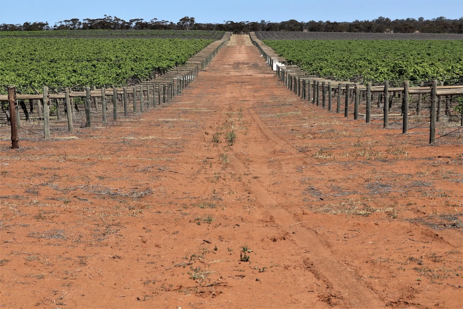 Additional image 10 of 2756 Tapalin Mail Road, Euston NSW 2737