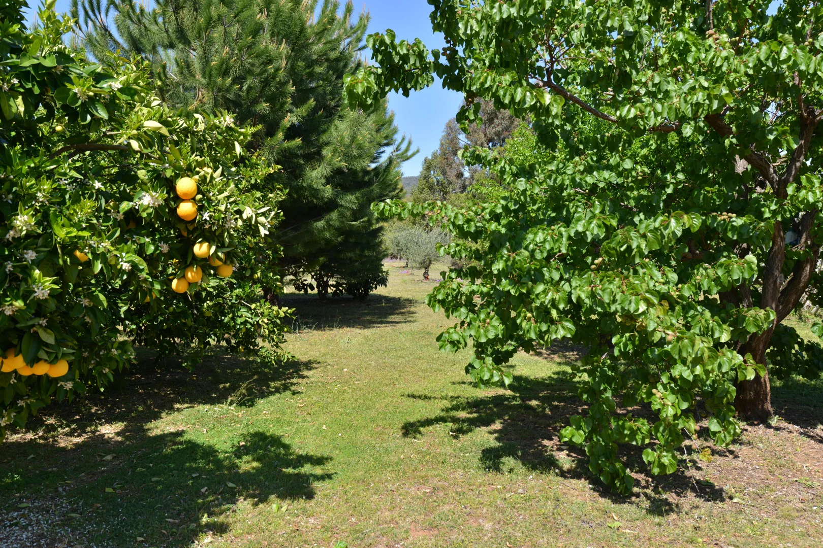 Additional image 21 of 20 Kurrajong Road, Coonabarabran NSW 2357