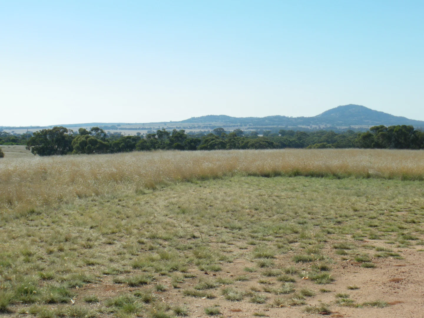 Additional image 19 of 6803 Calder Highway, Wedderburn VIC 3518