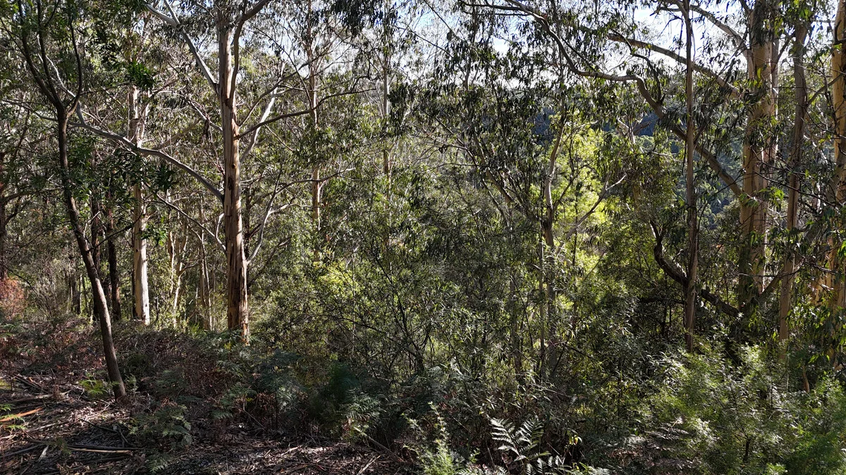 Additional image 18 of 318 Old Ocean Road, Glenaire VIC 3238