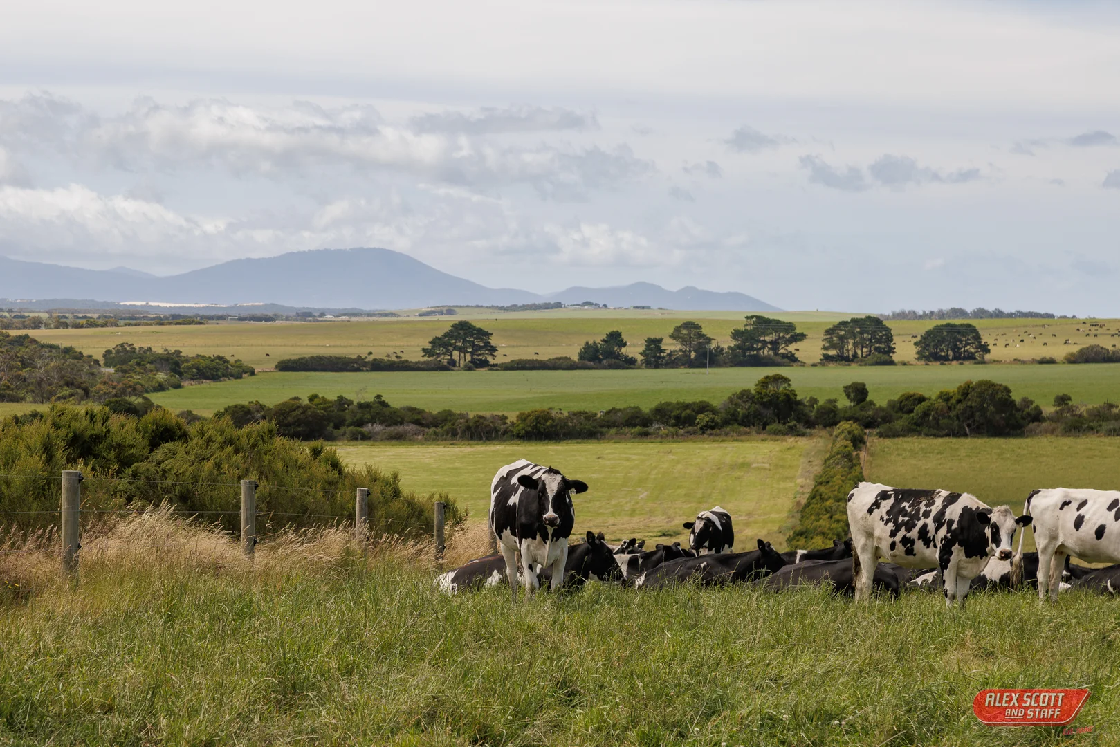 Additional image 10 of 2988 Meeniyan Promontory Road, Yanakie VIC 3960