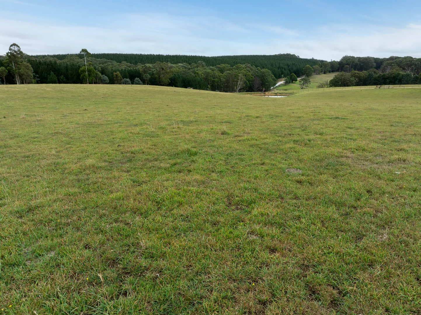 Additional image 27 of 251 Sheepstation Forest Road, Gingkin NSW 2787