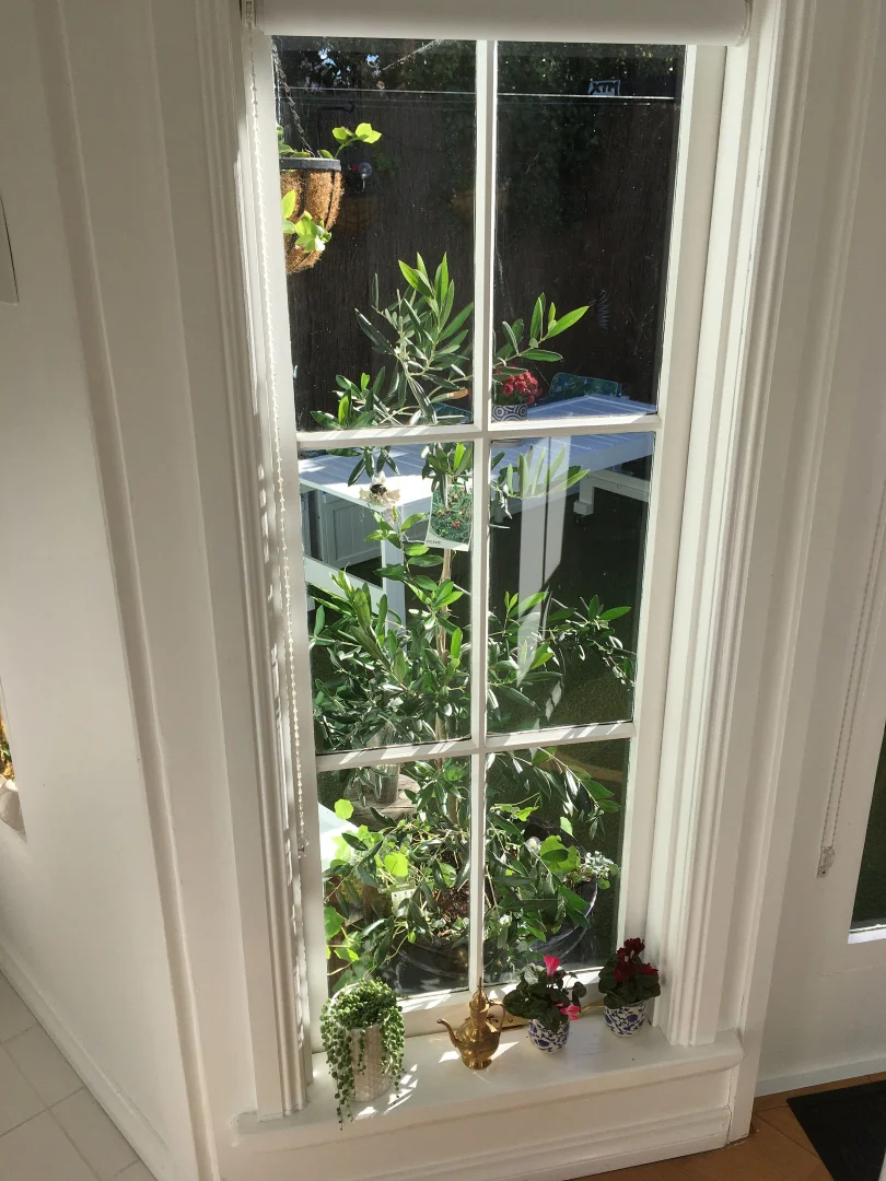 Additional image 22 of 5 Esk Street, Invermay TAS 7248