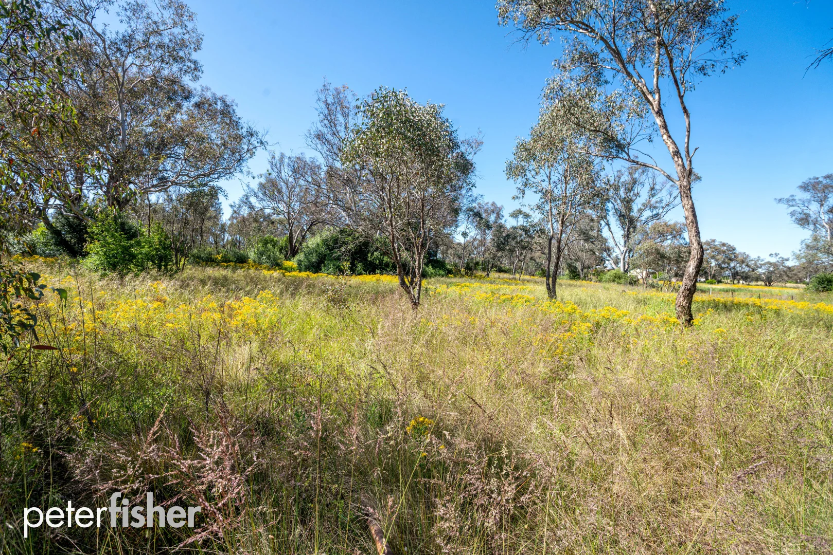 Additional image 6 of Lot 102/Hill Street (Part of 24 Queen Street), Molong NSW 2866