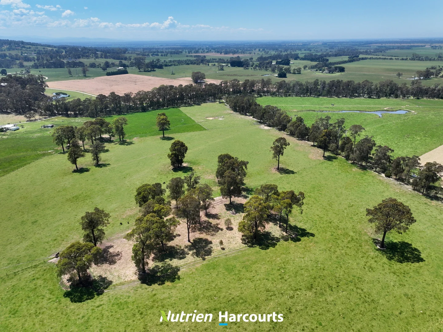 Additional image 10 of 111 Old Walhalla Road, Toongabbie VIC 3856