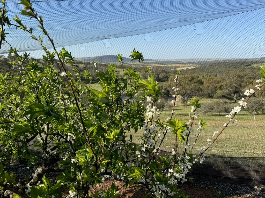 Additional image 53 of 9 Morris Edwards Drive, York WA 6302