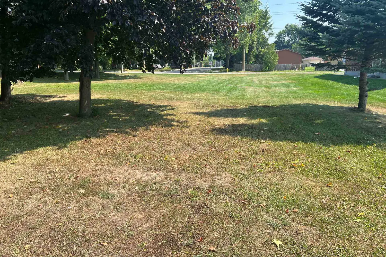 Additional image 7 of 173 1/2 Stanley Street