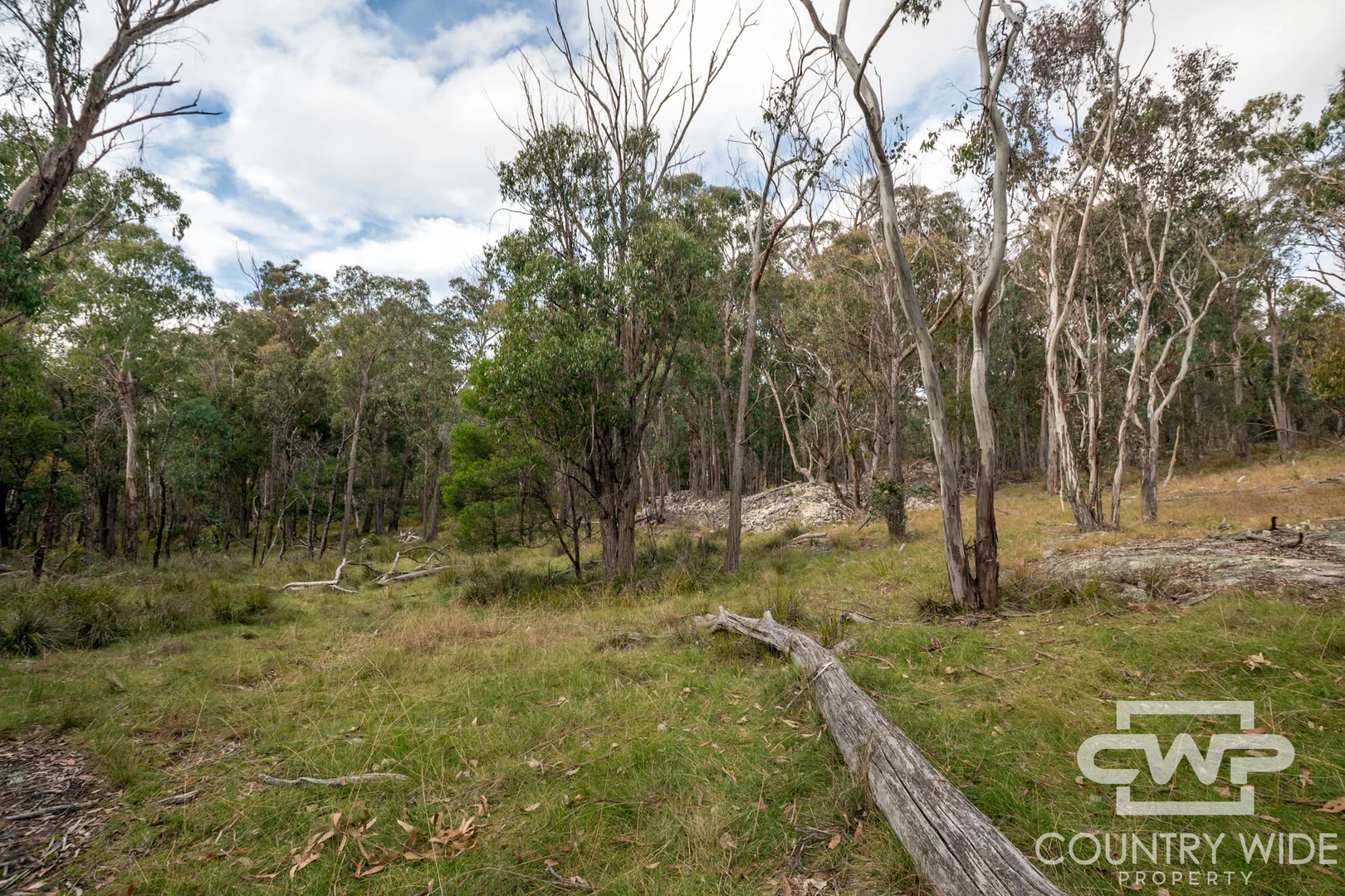 Additional image 5 of 10 Tablelands Road, Red Range NSW 2370