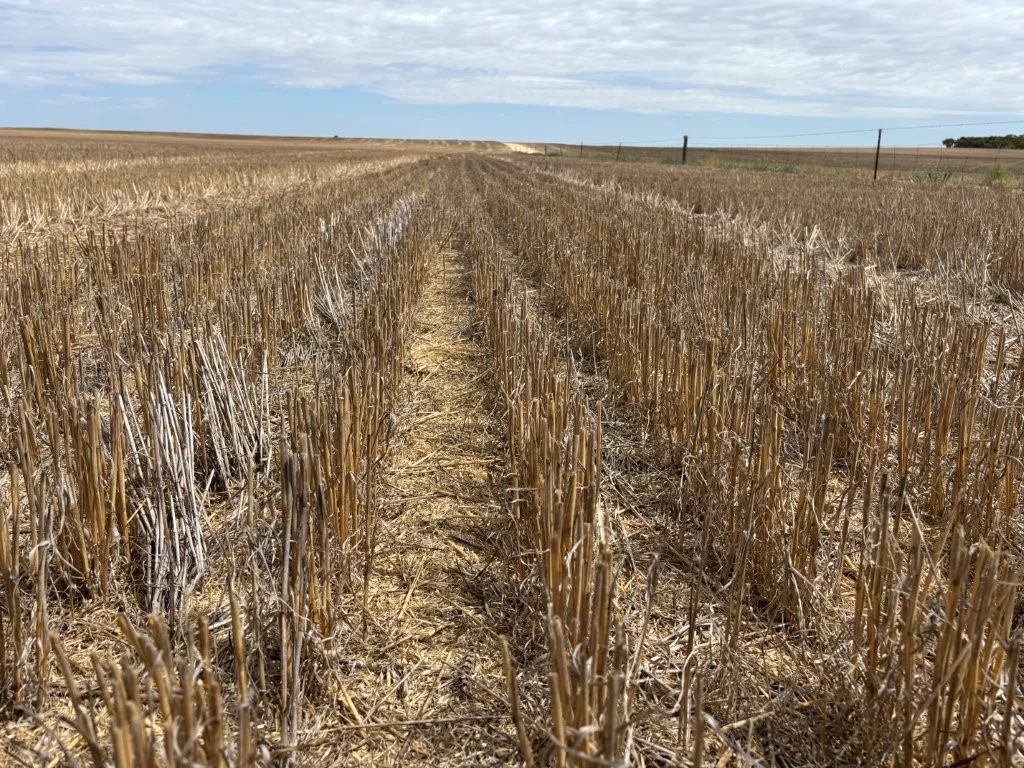 Additional image 25 of 9723 Tod Highway, Lock SA 5633