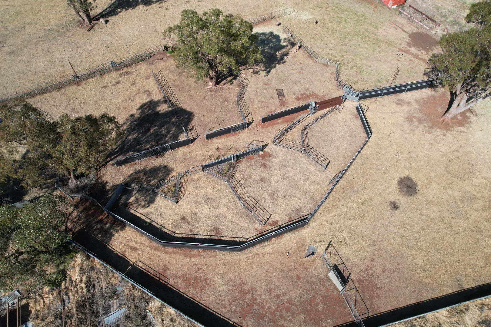 Additional image 17 of 'Boree Glen' 456 Whymarks Lane, Tullibigeal NSW 2669