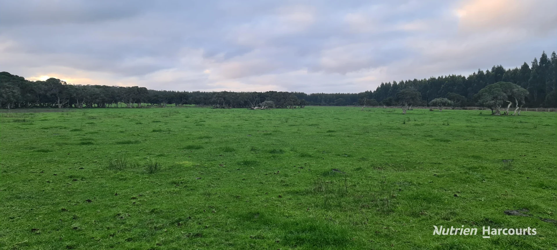 Additional image 9 of 526 Board Road, Kordabup WA 6333