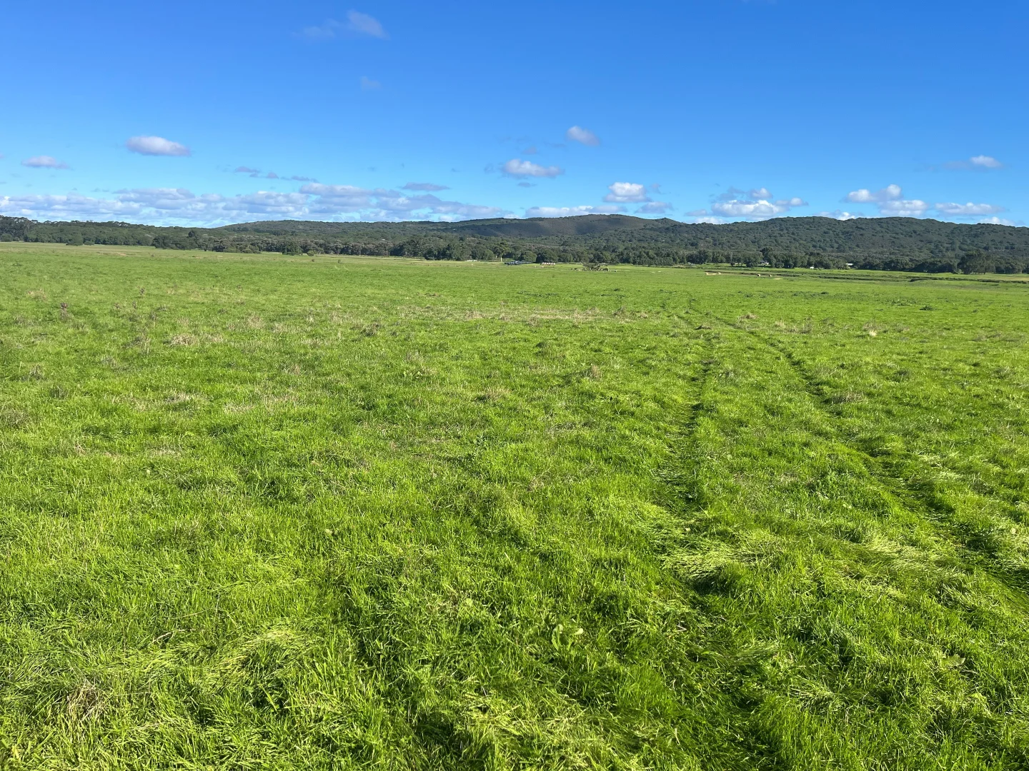 Additional image 4 of 181 Francis Road, Lowlands WA 6330