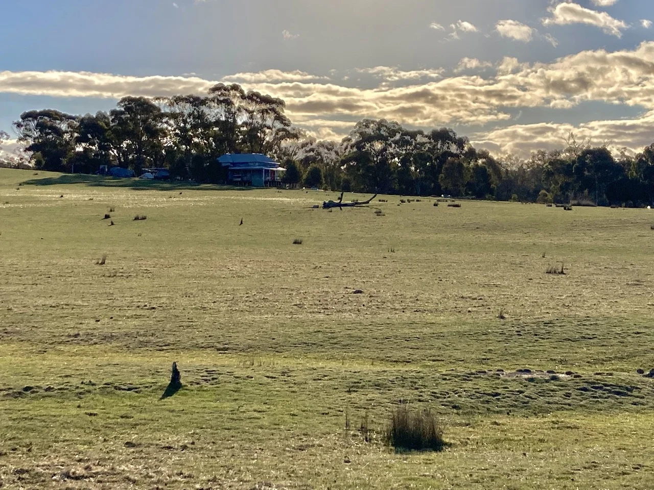 Additional image 11 of 355 Lillicur Road, Amherst VIC 3371