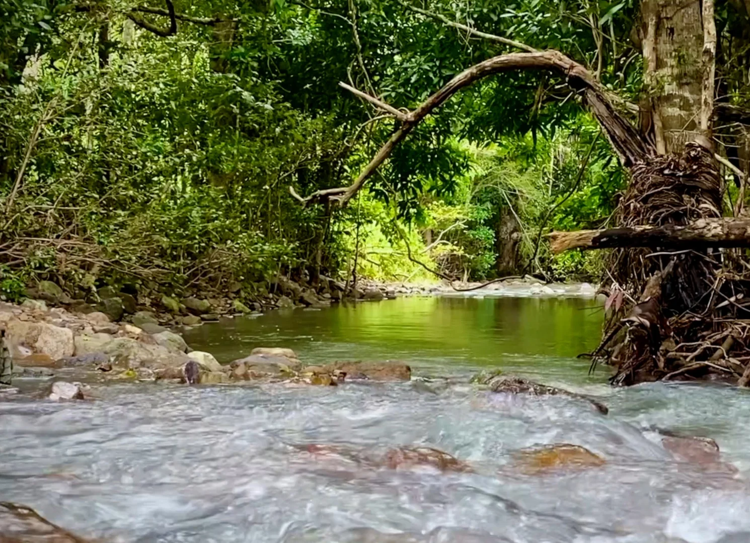 Additional image 11 of MARLOW Rifle Range Road Hidden Valley, Preston QLD 4800