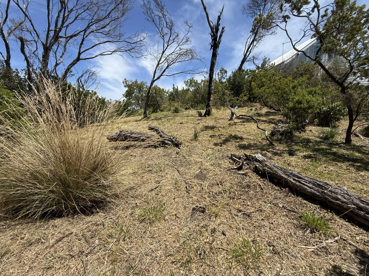 Additional image 6 of 20 Rodney Street, Rye VIC 3941