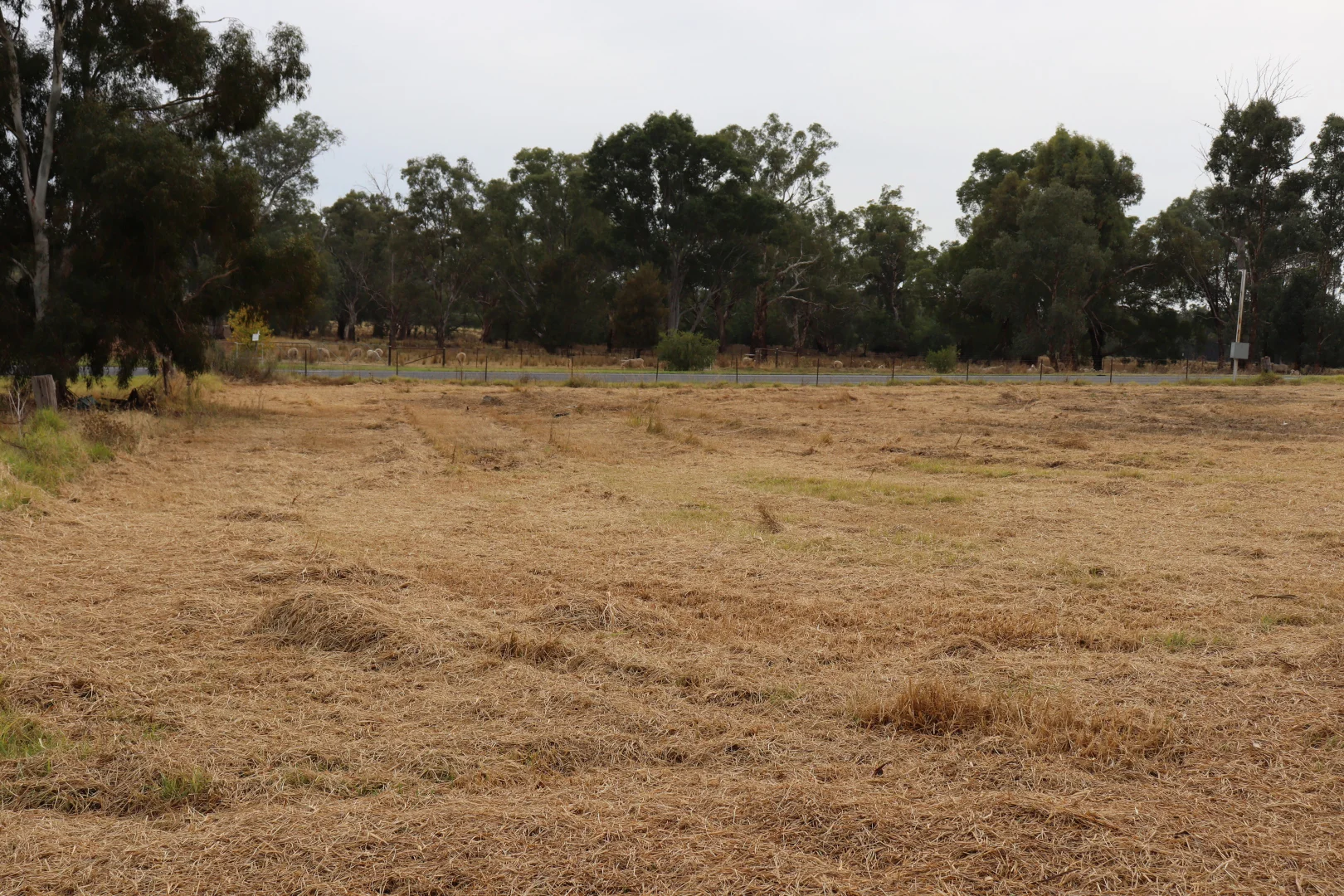 Additional image 6 of 1 Main Street, Gooloogong NSW 2805