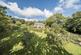 Additional image 24 of Hemyock, Cullompton, 1.23 Acre